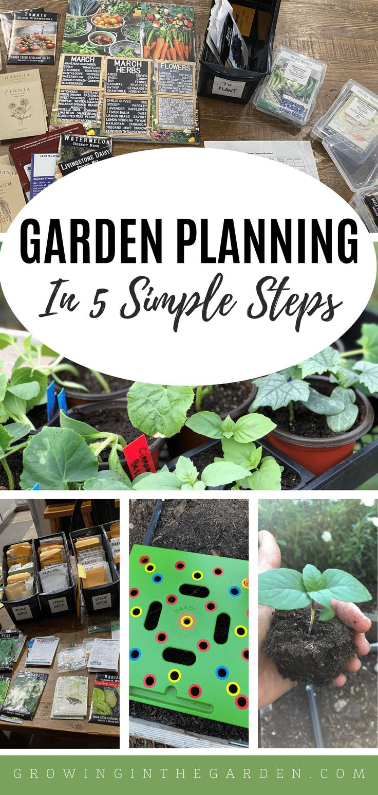 Garden Planning In 5 Simple Steps pertaining to Why your local nursery might be the best kept secret for free garden planning