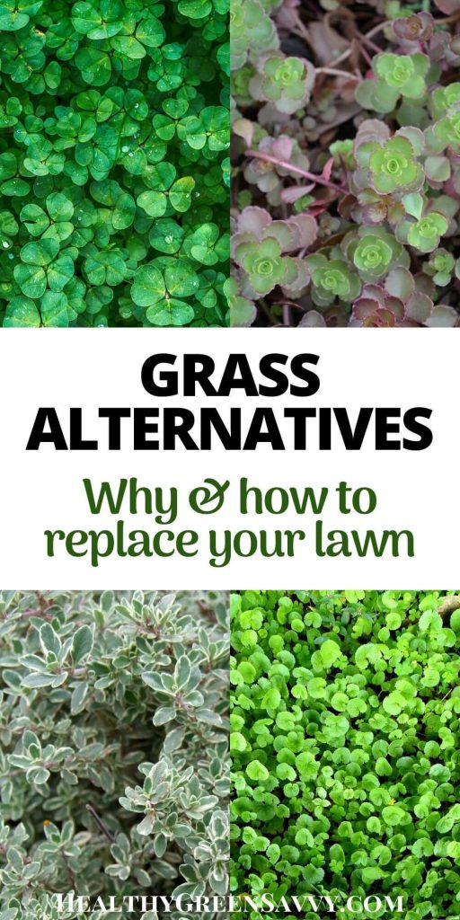 Grass Alternatives Why How To Replace Your Lawn – Artofit inside Low Growing Plants For Curb Appeal