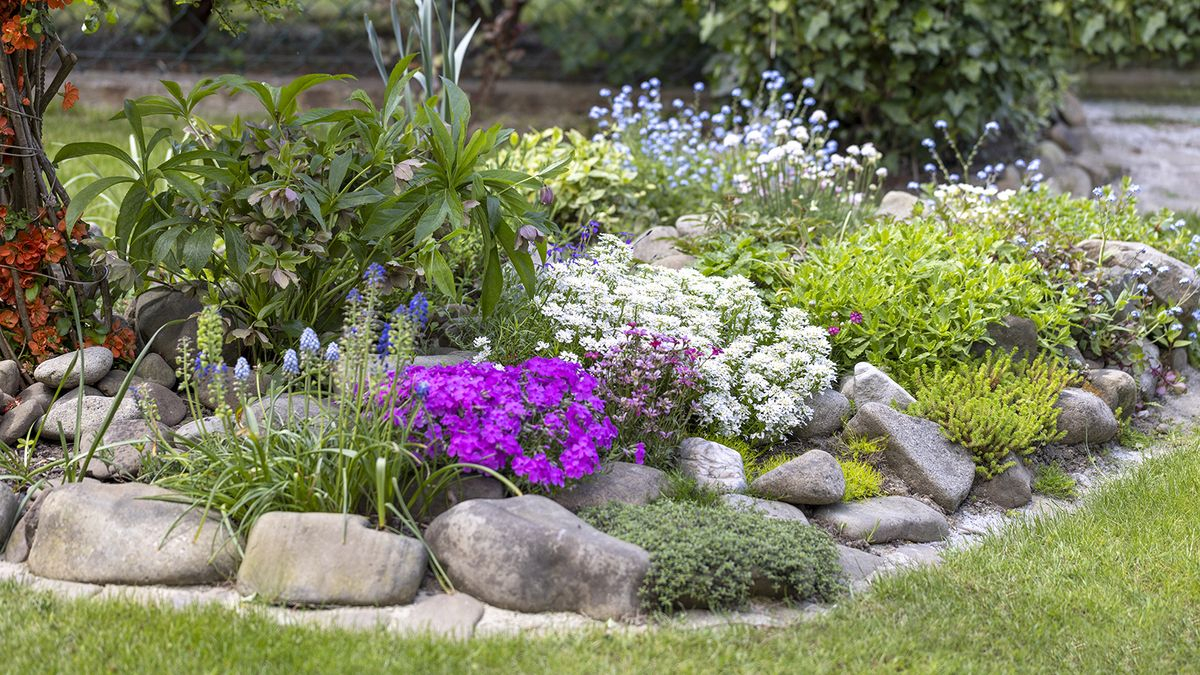 How To Build A Rockery In Your Garden | Homebuilding within Low Growing Plants For Curb Appeal