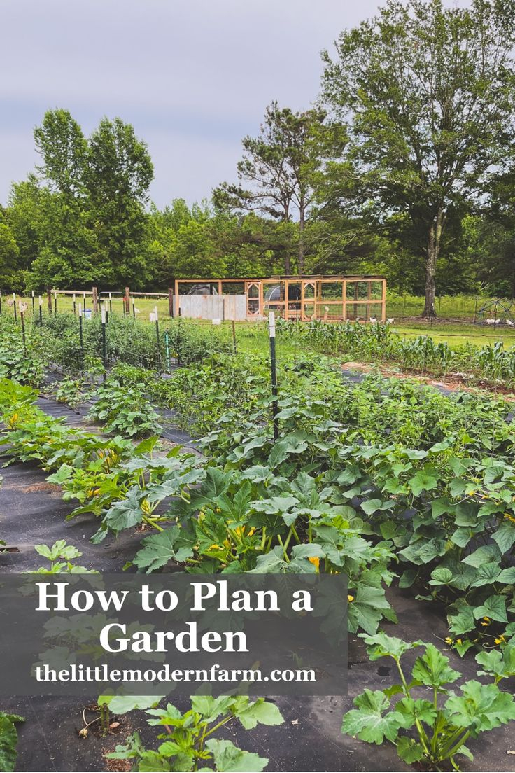 How To Plan A Garden | Free Garden Planner, Garden Planning, Garden Planner inside Why your local nursery might be the best kept secret for free garden planning