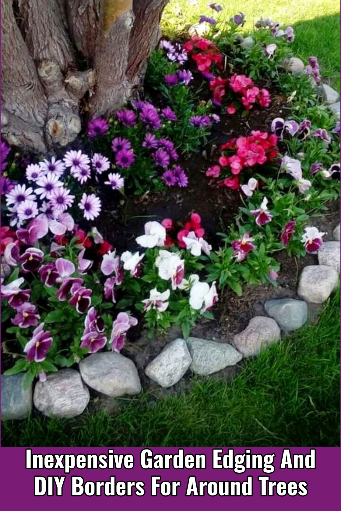 Inexpensive Garden Edging And Diy Borders For Around Trees In Your Yard inside Inexpensive Perennials That Spread