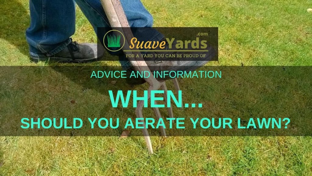 Keeping Your Lawn Healthy: When Should You Aerate Your Lawn? (Revealed) inside How Yard Size and Location Shape Your Total Lawn Aeration Budget
