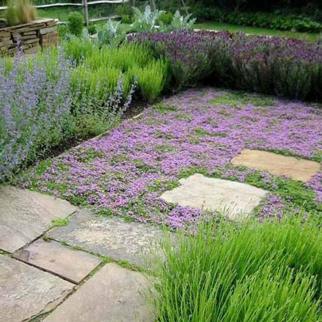 Landscaping Ideas To Replace Grass 10 Easy, Low Maintenance Lawn for Low Growing Plants For Curb Appeal