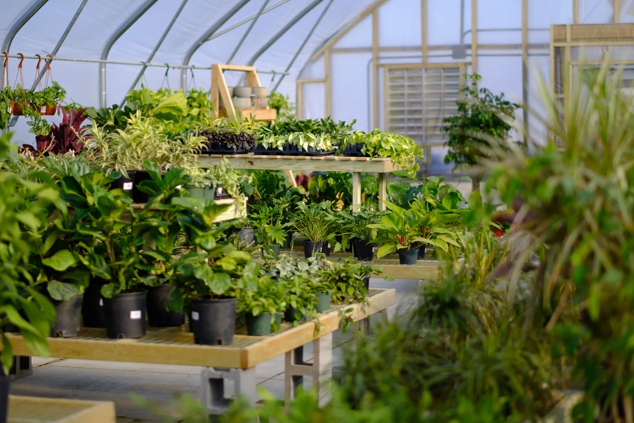 Nursery & Garden Center inside Why your local nursery might be the best kept secret for free garden planning