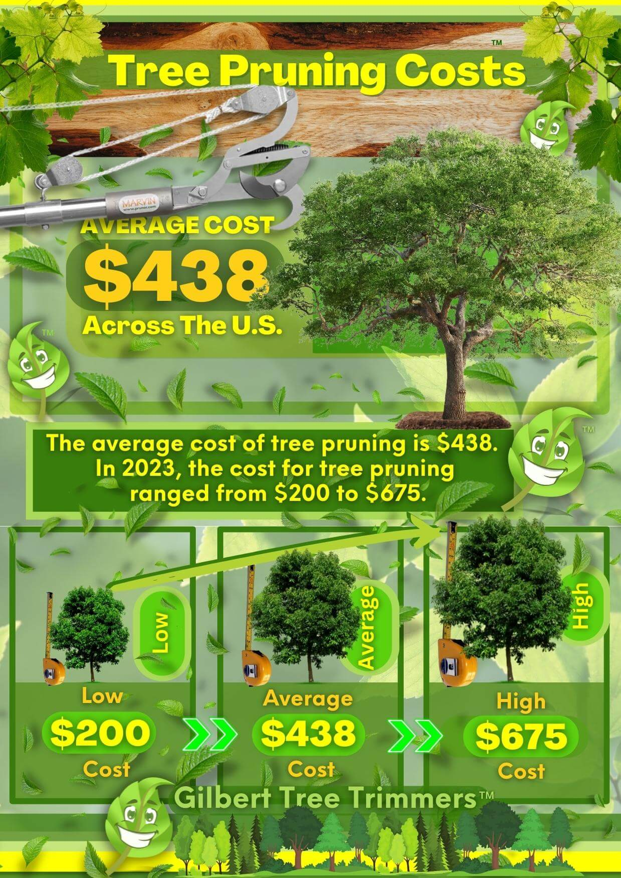 Tree Trimmers Gilbert Az | Tree Service Gilbert Arizona throughout How Much Does Tree Trimming Cost