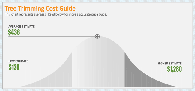 Tree Trimming Cost Guide 2019 - How To Save &amp;amp;Gt; 43% On Tree Pruning regarding Real Homeowner Budgets for Professional Tree Trimming and Pruning Services