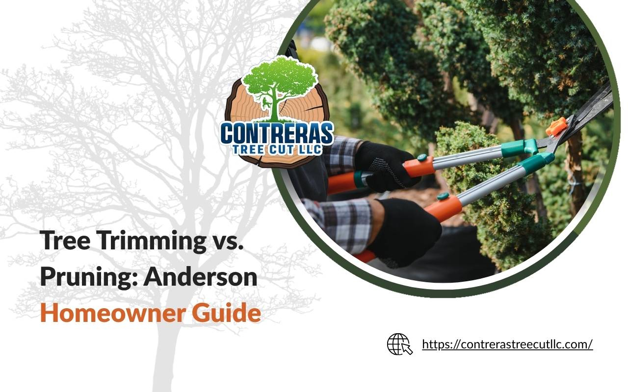 Tree Trimming Vs Pruning Guide For Anderson Homeowners inside Real Homeowner Budgets for Professional Tree Trimming and Pruning Services