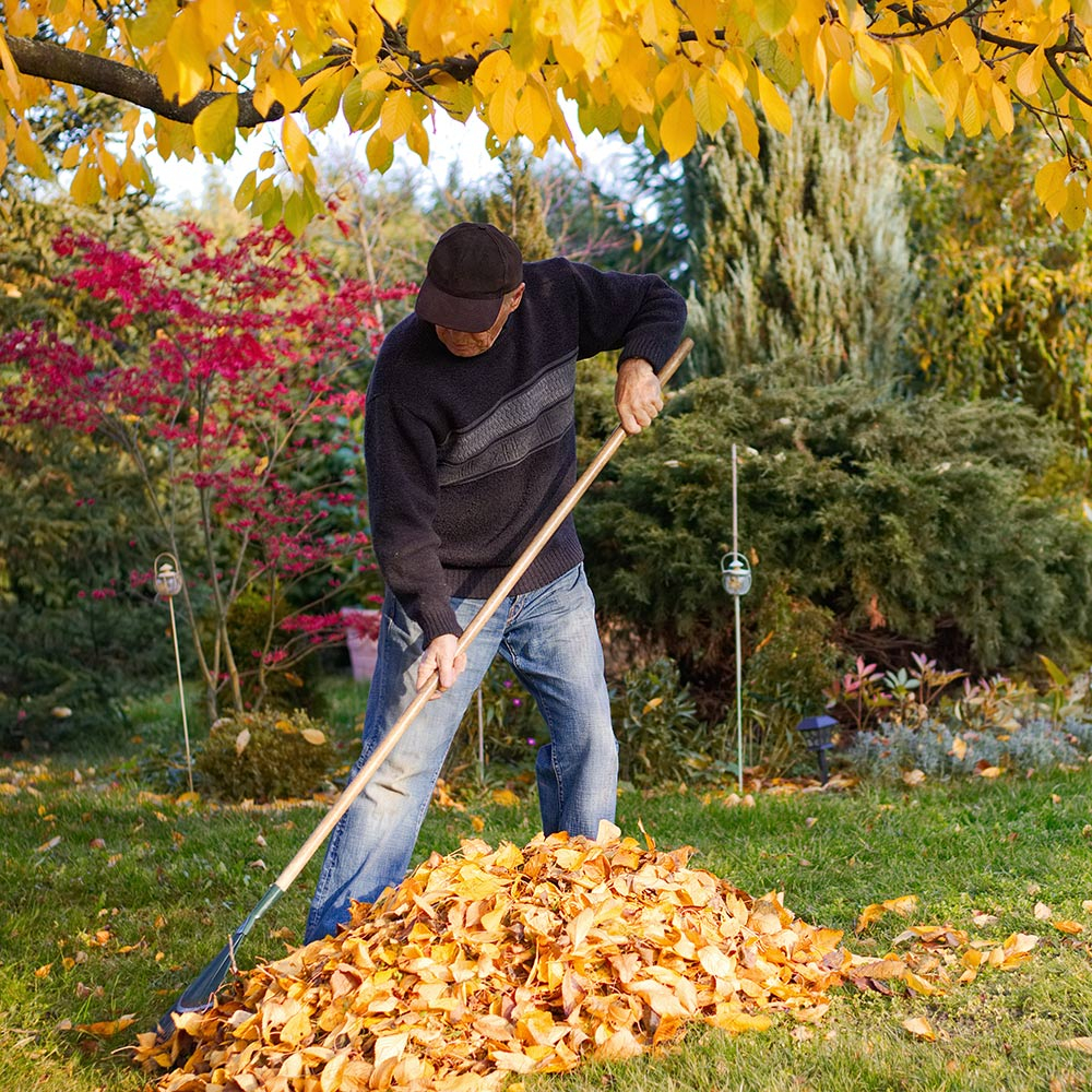5 Ways To Use Leaves In Your Yard - The Home Depot intended for Why Raking Your Fall Leaves into the Curb Is the Biggest Gardening Mistake You Can Make