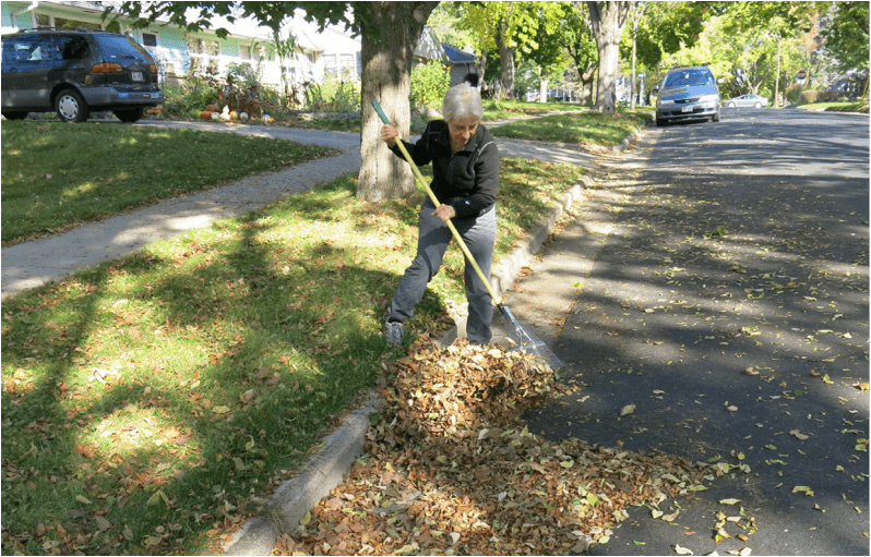 Why Raking Your Fall Leaves into the Curb Is the Biggest Gardening Mistake You Can Make