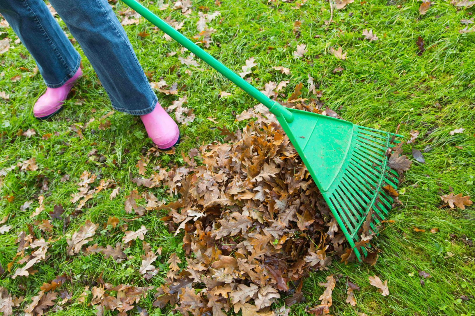 Raking The Garden - Thrive in Why Raking Your Fall Leaves into the Curb Is the Biggest Gardening Mistake You Can Make
