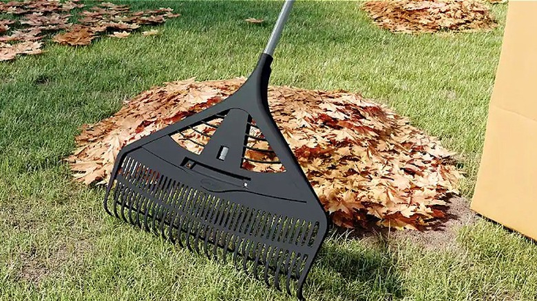 The 9 Best Leaf Rakes For Keeping Your Lawn In Tip-Top Shape This Fall pertaining to Why Raking Your Fall Leaves into the Curb Is the Biggest Gardening Mistake You Can Make
